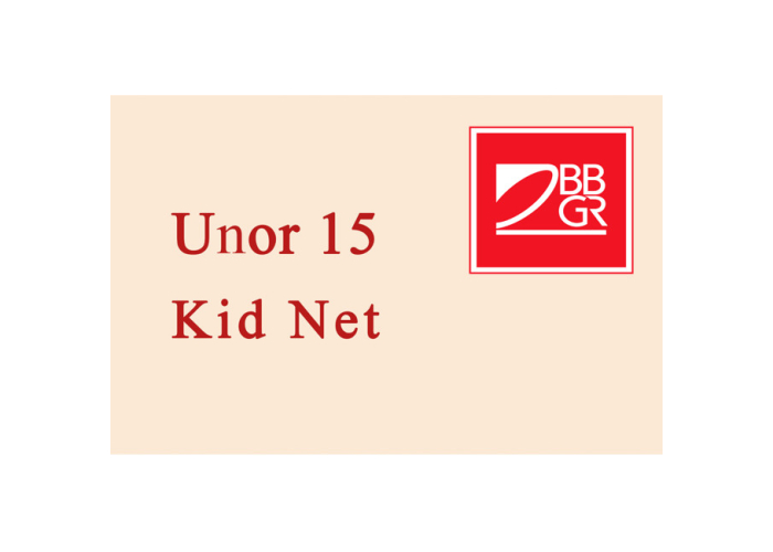 Линзы для очков BBGR UNOR 15 Kid NET UV